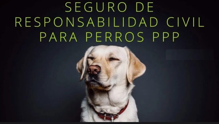 Seguro responsabilidad civil perros