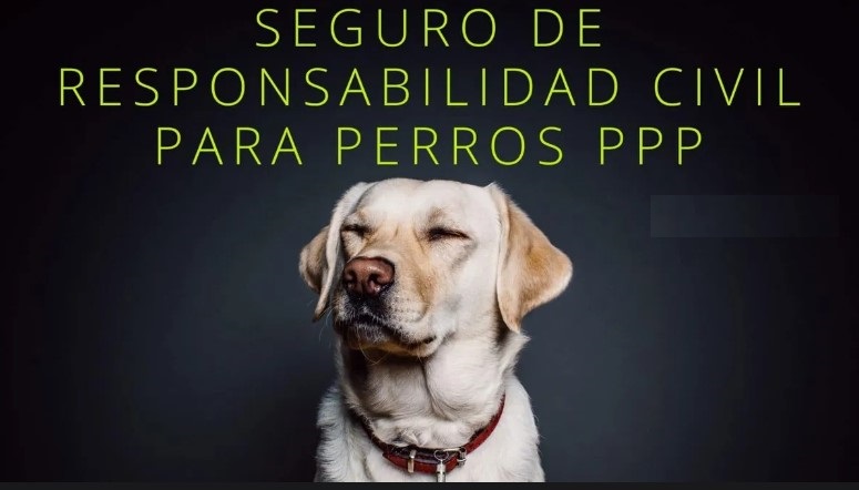 Perro y su dueño protegidos por un seguro de responsabilidad civil