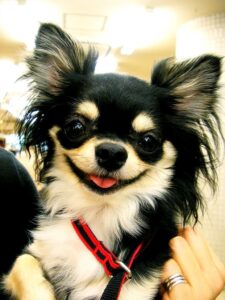 Coco