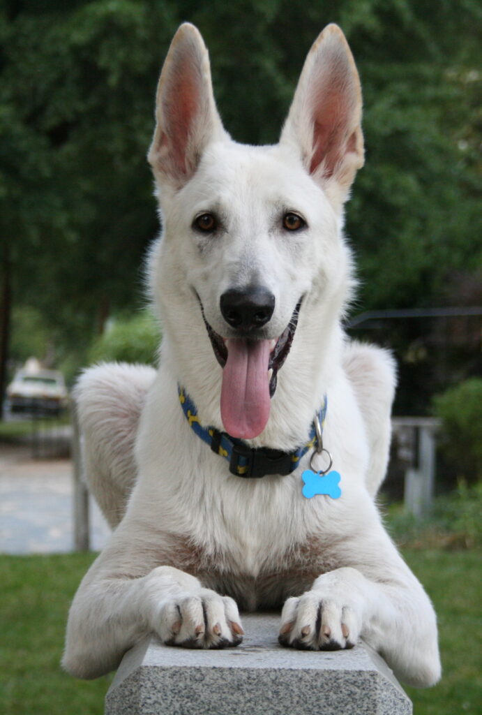 Thor